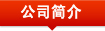 公司简介